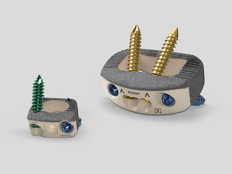 Các bộ phận cấy ghép dung hợp giữa các cơ thể được phủ Plasmapore XP.